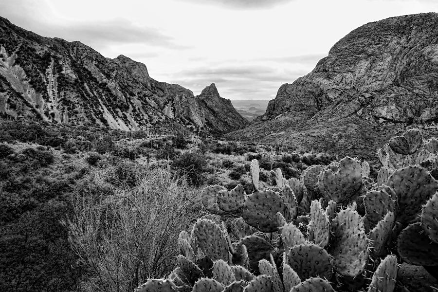 Big Bend National Park Photograph - The Window 2 Black and White by Judy Vincent