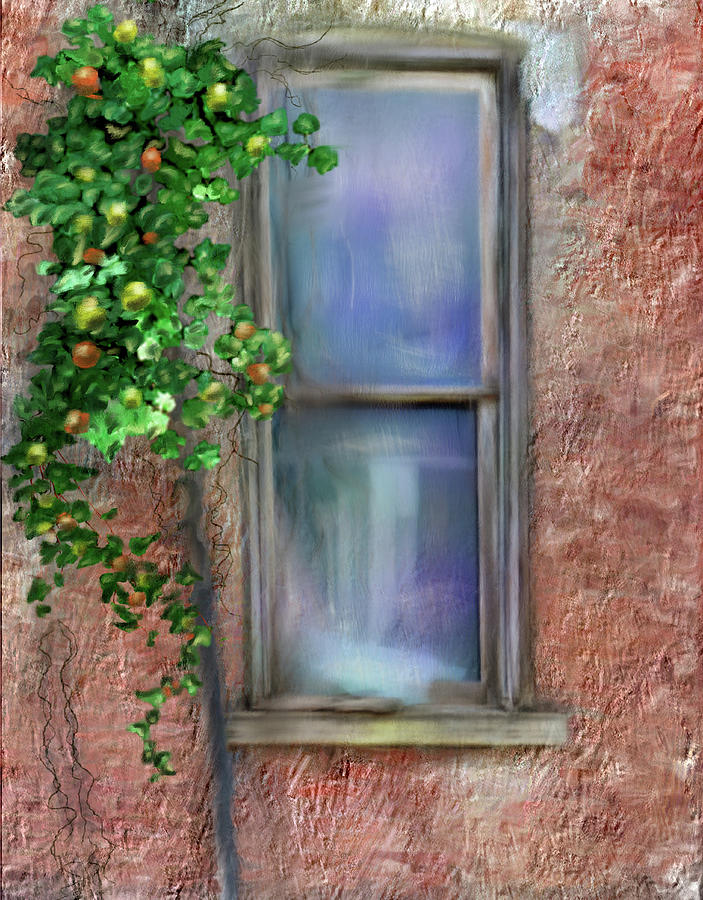 The Window Photograph by Mary Timman