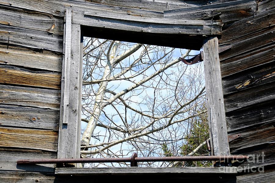 The Window Photograph by Sandra Updyke