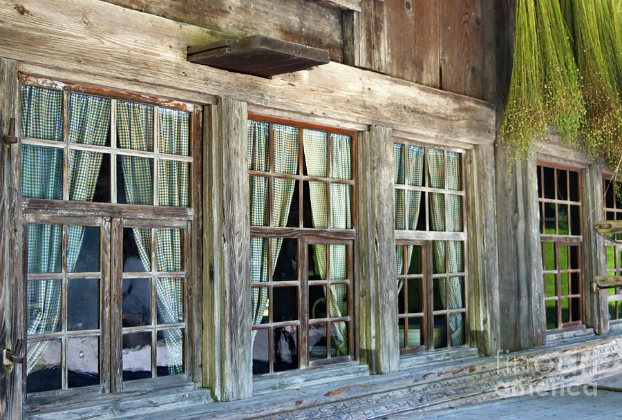 the windows of the Madiswil house Photograph by Michelle Meenawong