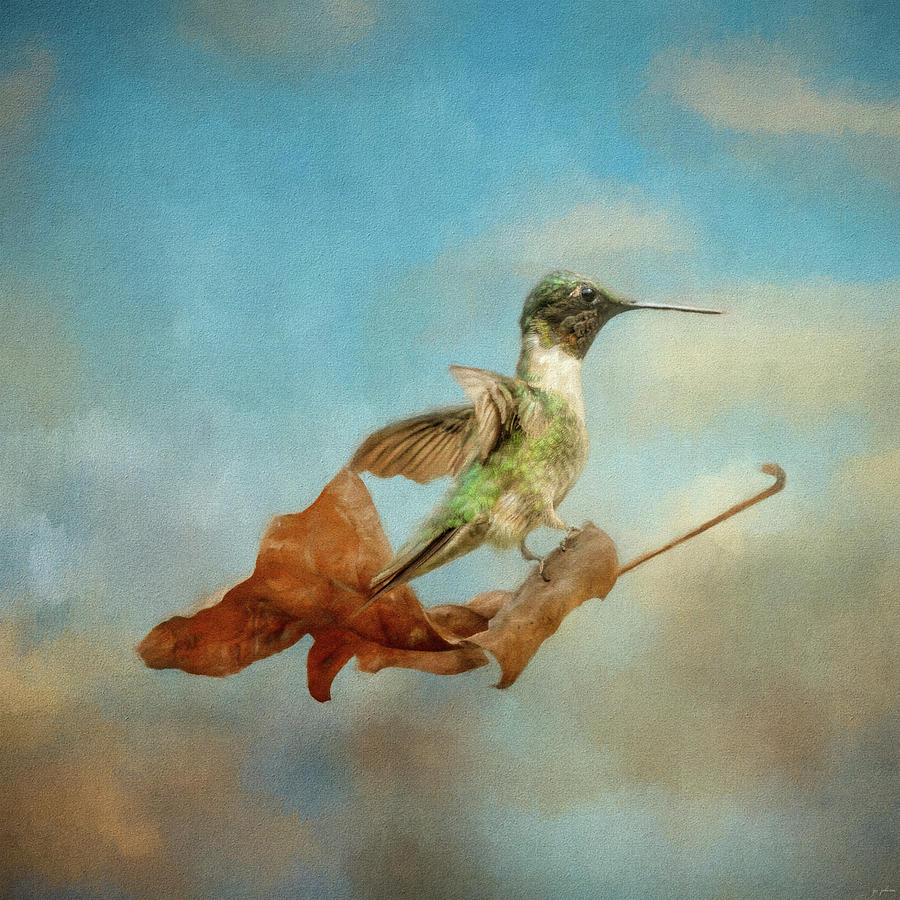 Bird Painting - The Winds of Fall 3 by Jai Johnson
