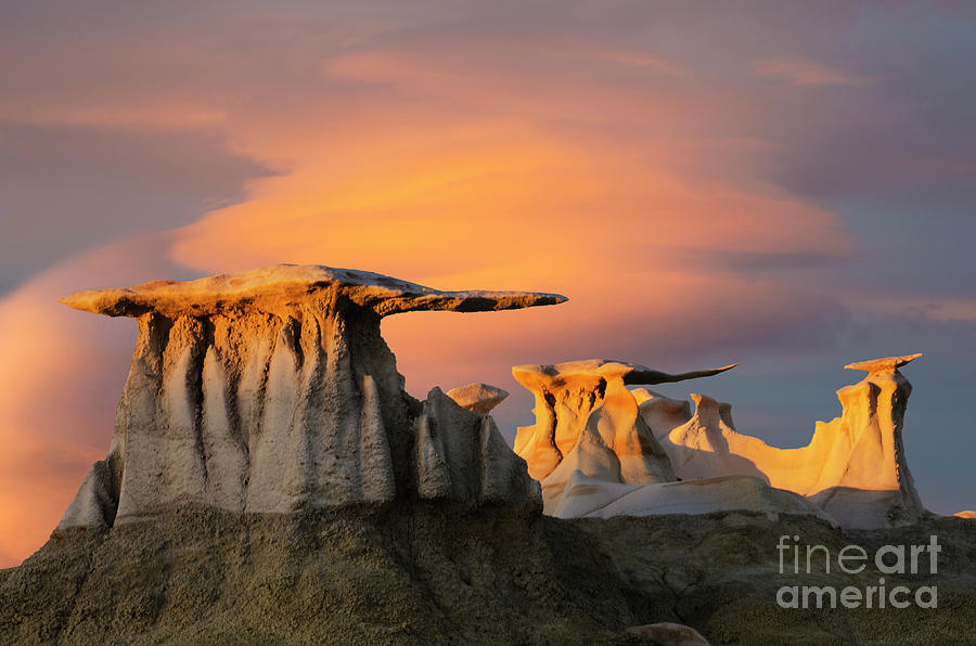 Nature Photograph - The Wings Of The Bisti by Bob Christopher