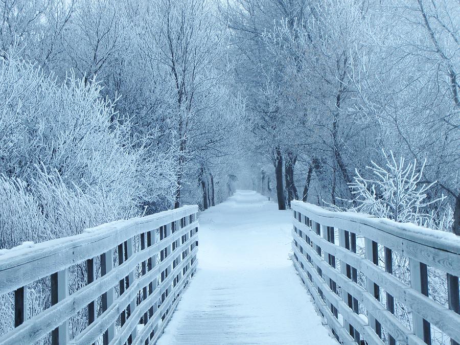 The Winter Bridge Photograph by Lori Frisch