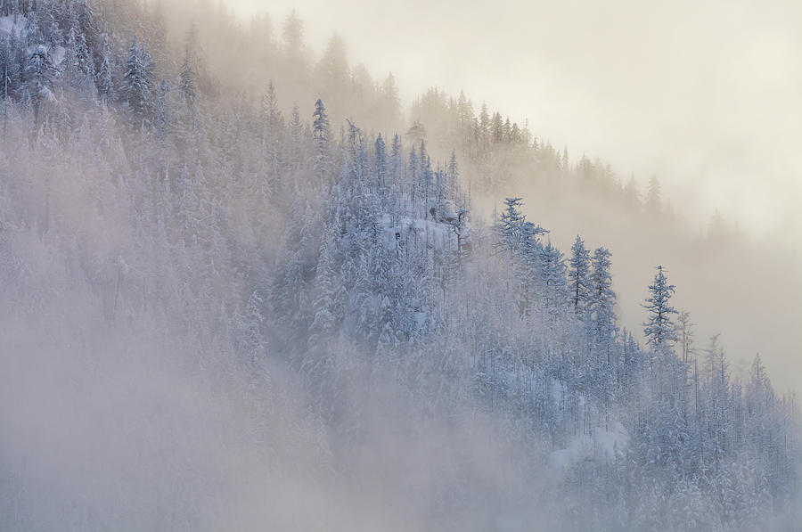 The Winter Dreamland 1 Photograph by Jonathan Nguyen