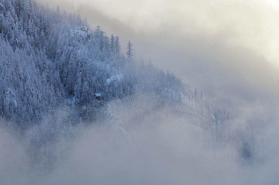 The Winter Dreamland  2 Photograph by Jonathan Nguyen