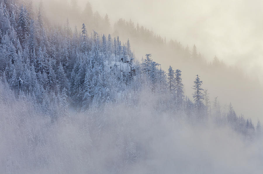 The Winter Dreamland  3 Photograph by Jonathan Nguyen
