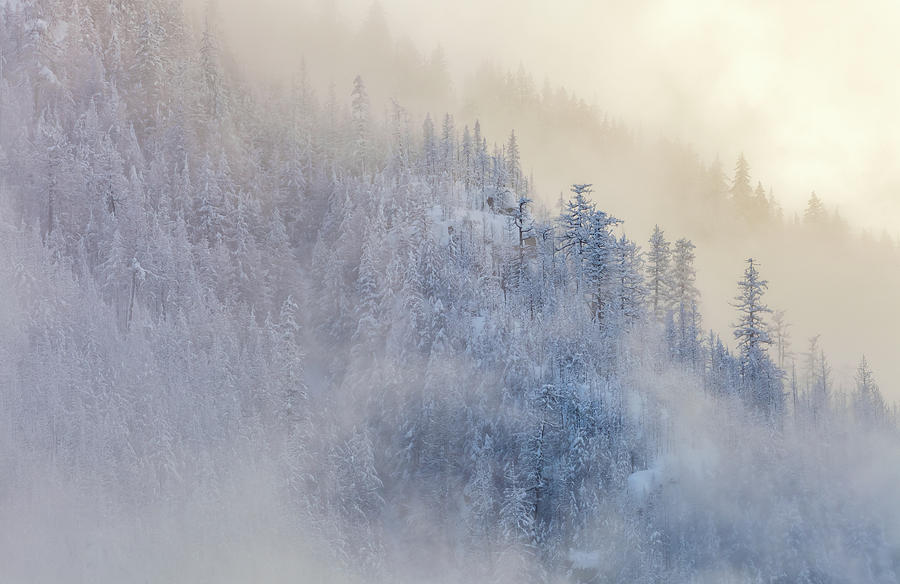 The Winter Dreamland  4 Photograph by Jonathan Nguyen