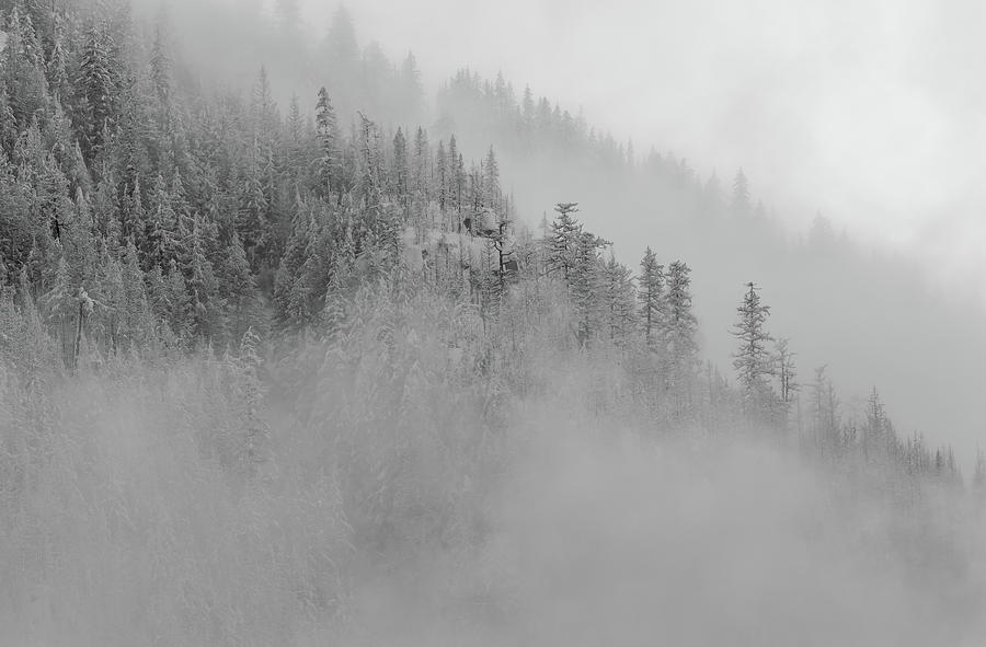 The Winter Dreamland BW 1 Photograph by Jonathan Nguyen