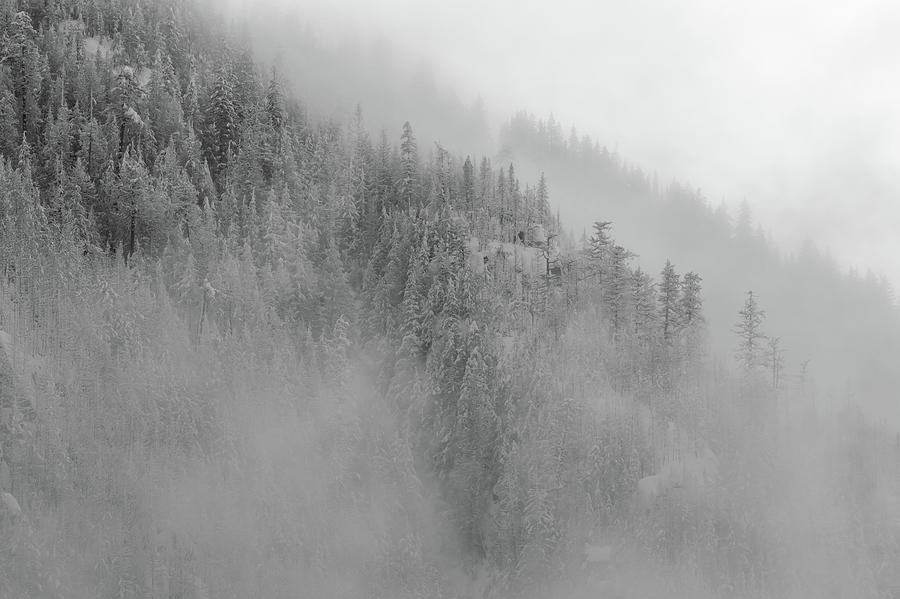 The Winter Dreamland BW 2 Photograph by Jonathan Nguyen