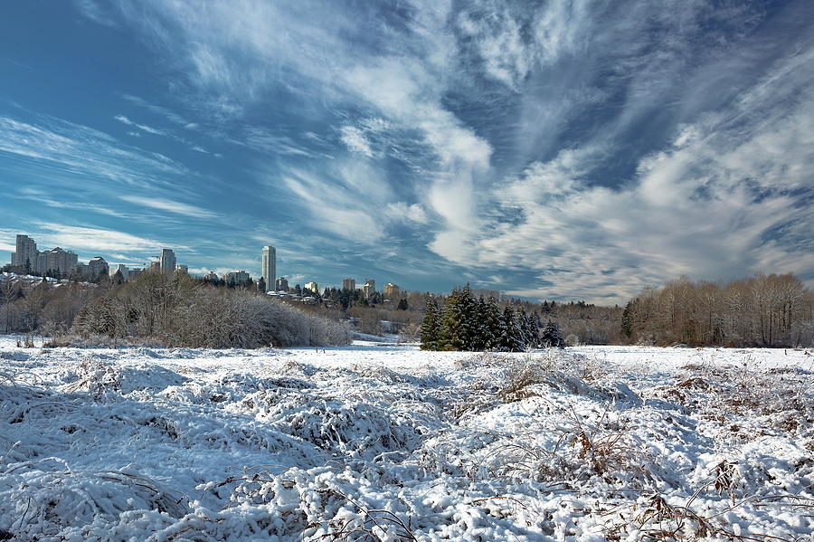 The Winter Landscape Photograph by Alex Lyubar