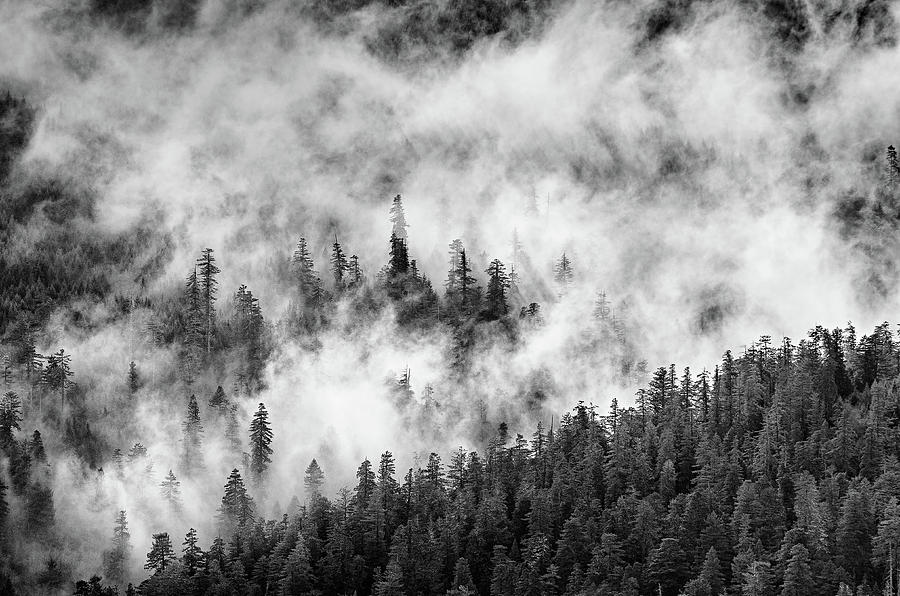 The Winter Mists Cling Photograph by Greg Nyquist