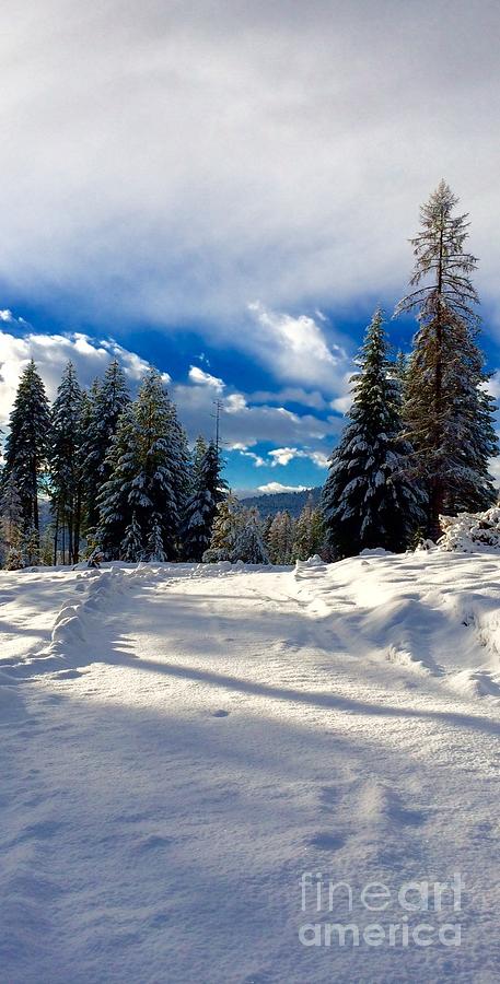 The Winter Road Photograph by Jennifer Lake