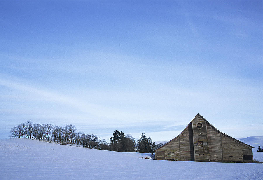 The Winter Sentinal Photograph by Doug Davidson