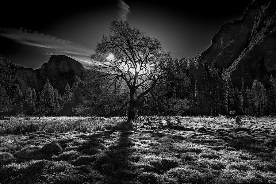 Yosemite National Park Photograph - The Winter Spirit by Simon Chenglu