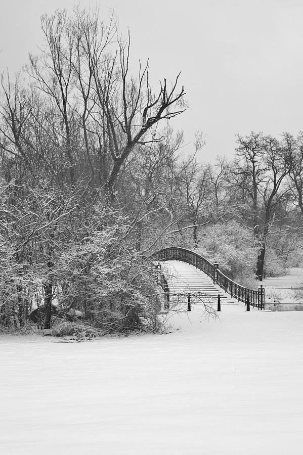 The Winter White Wedding Bridge Photograph by Daniel Thompson