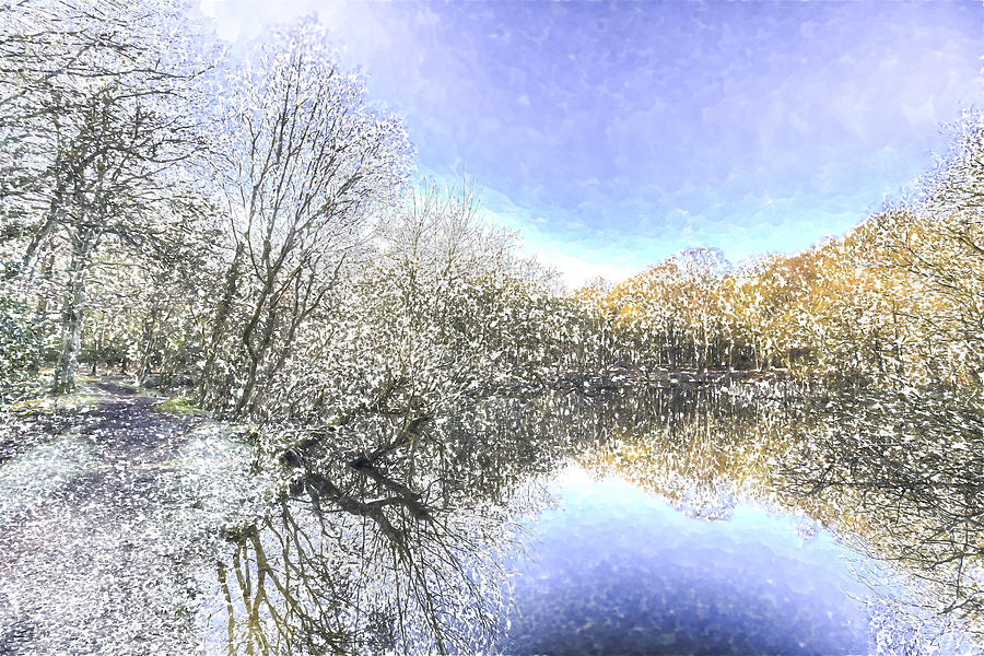 The Winters Day Pond Photograph by David Pyatt