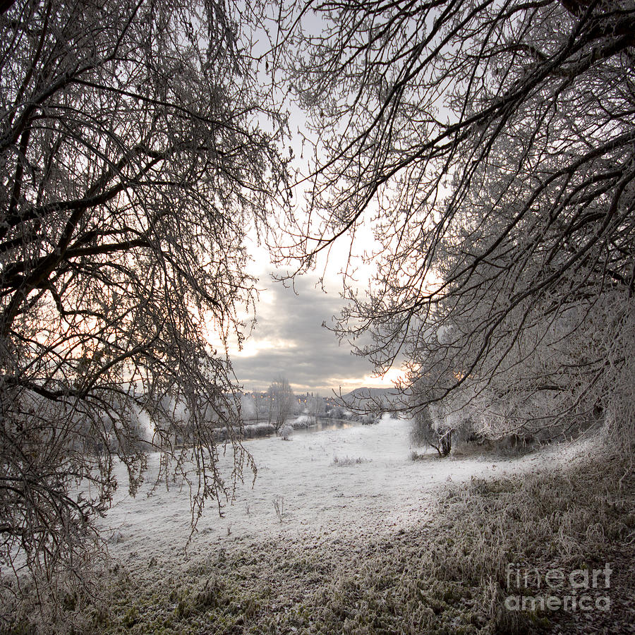 The Wintery Landscape Photograph by Ang El