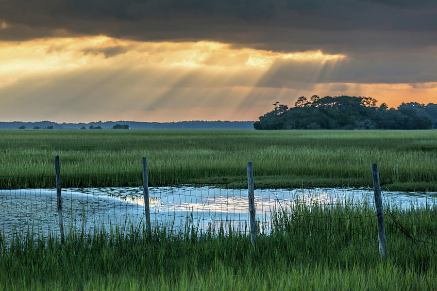 The Wire Fence -  Seabrook Island, SC Photograph by Donnie Whitaker