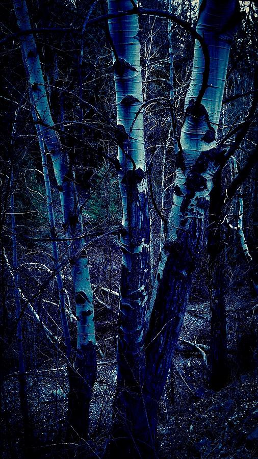 The Witches Aspen Grove Painting by Jennifer Lake