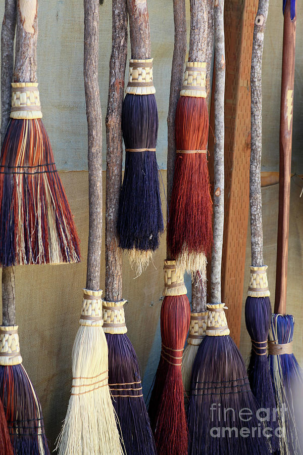 The Witches Brooms Photograph by Portraits By NC