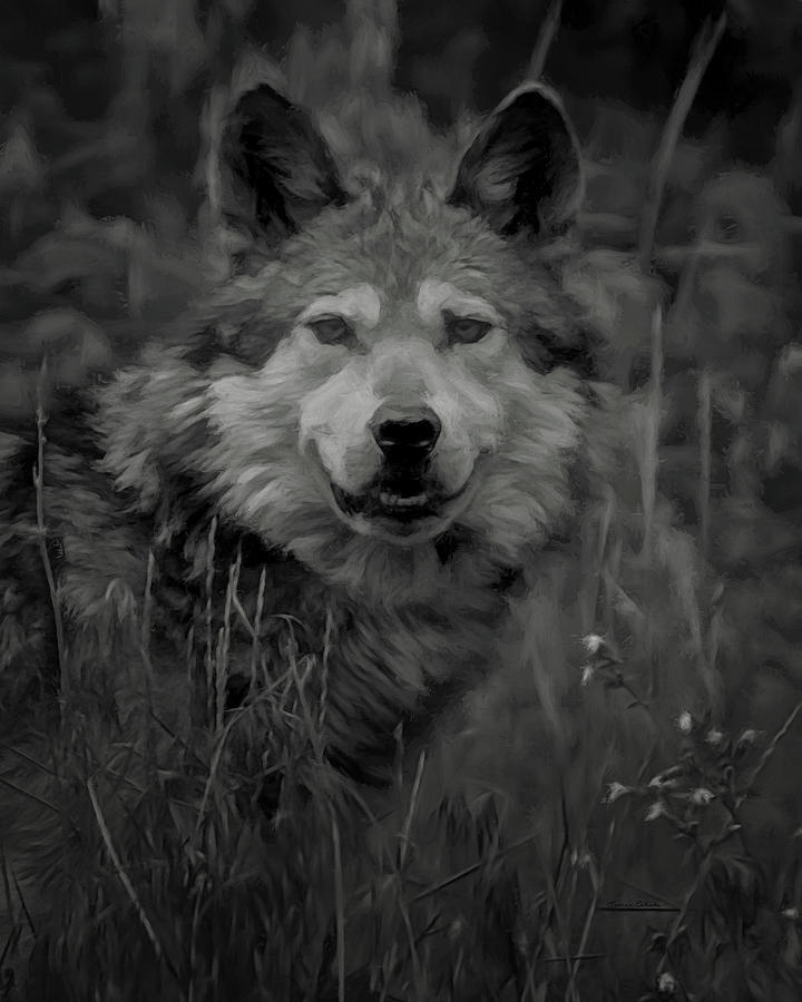The Wolf BW Digital Art by Ernest Echols