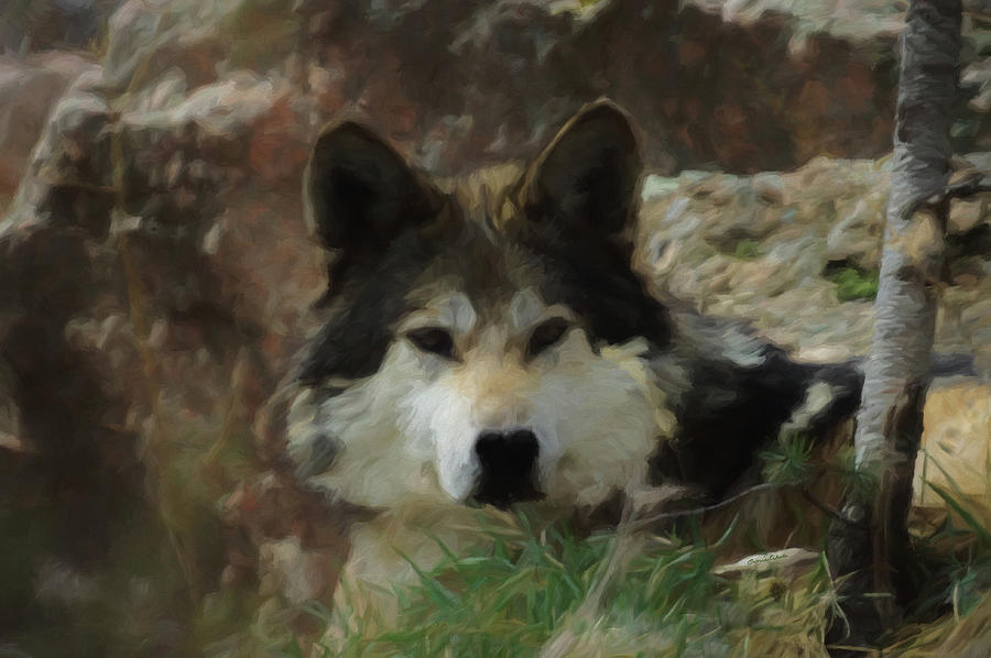 The Wolf DA Digital Art by Ernest Echols