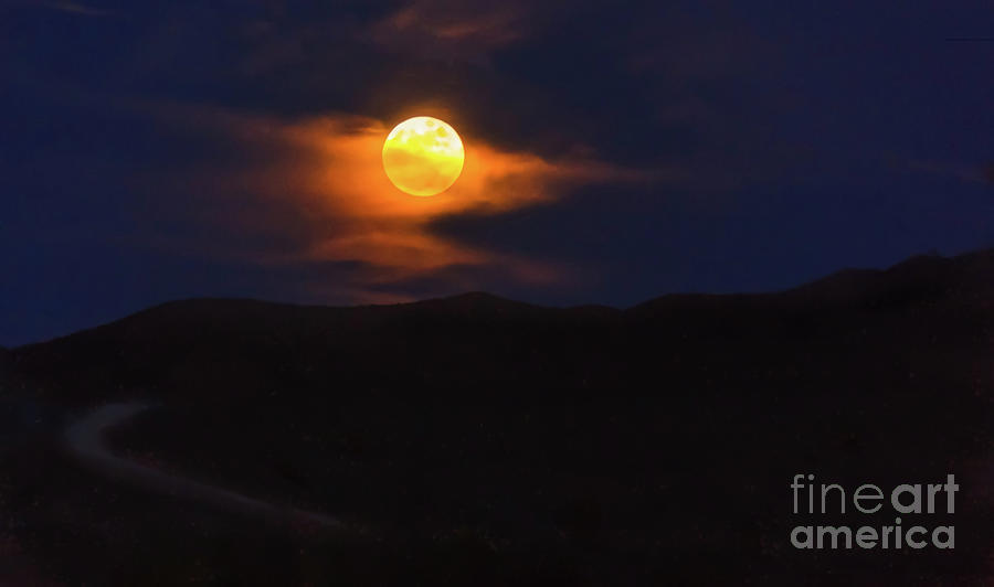 The Wolf Moon Photograph by Robert Bales