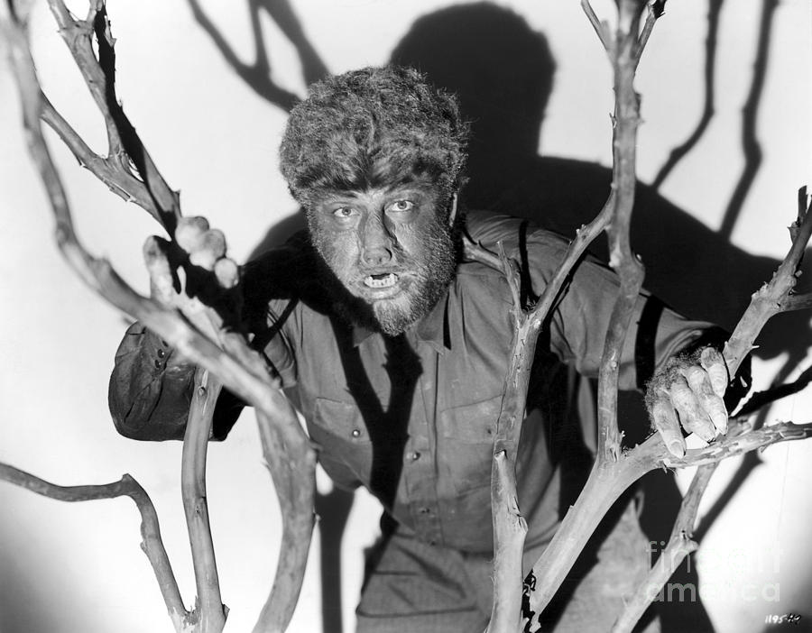 The Wolfman, 1941 Photograph by Granger