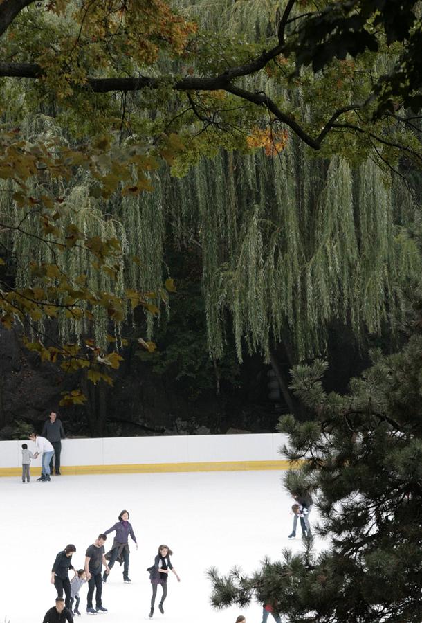New York City Photograph - The Wollman Rink by Christopher J Kirby