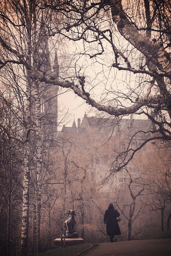 City Photograph - The Woman in Black by Carol Japp