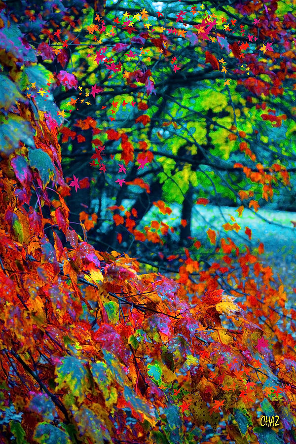 The Wonder of Autumn Painting by CHAZ Daugherty