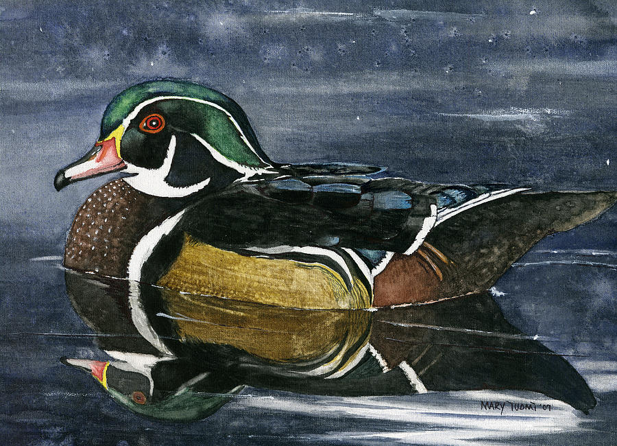 Duck Painting - The Wood Duck by Mary Tuomi