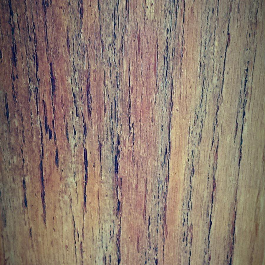 The Wood From My Door Looks Cool W/ The Photograph by Meagan Rose