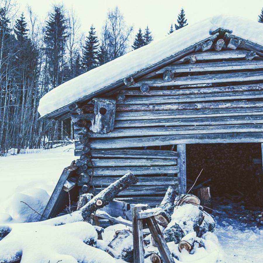 The Wood Shed, Finland Photograph by Aleck Cartwright