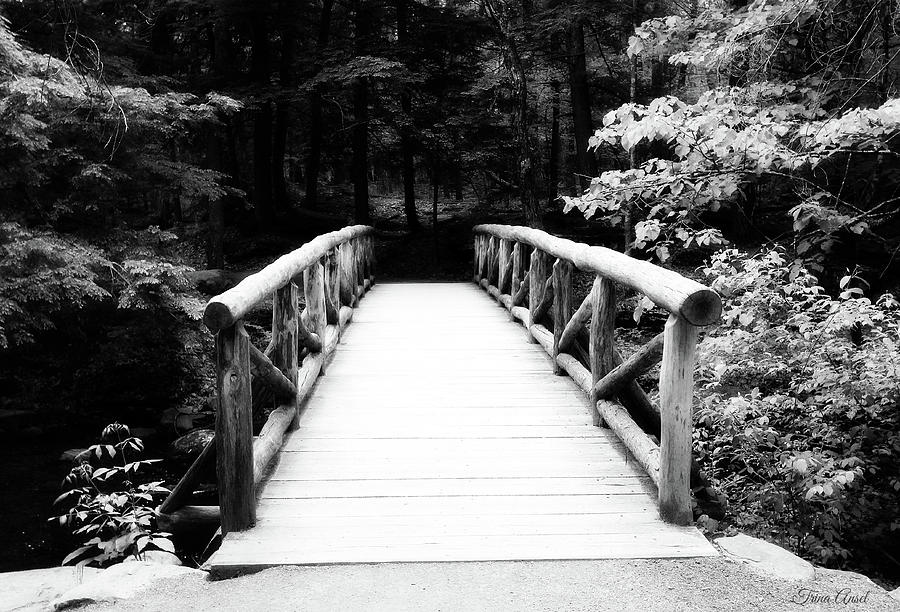 The Wooden Bridge in Black and White Photograph by Trina Ansel