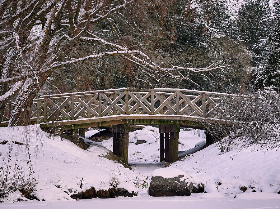 The Wooden Bridge Photograph by Jouko Lehto
