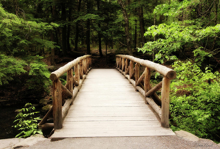 The Wooden Bridge Photograph by Trina Ansel