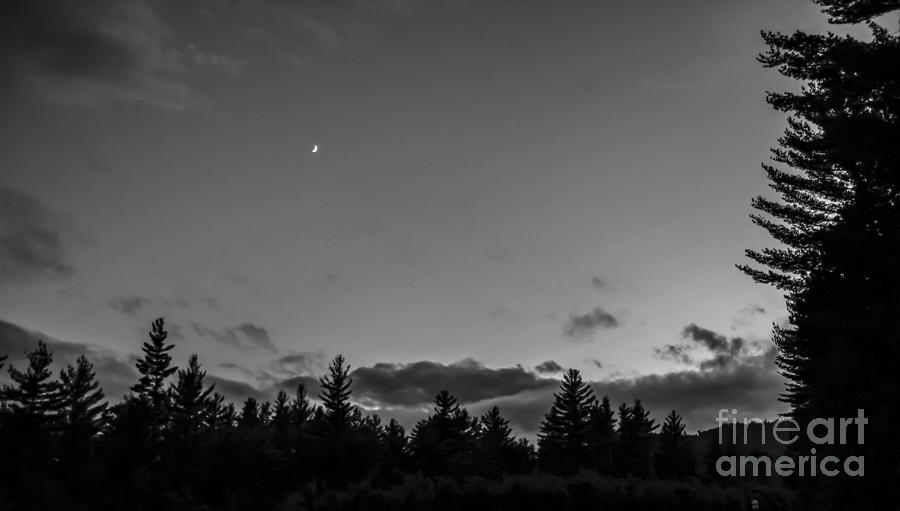 The Woods and the Moon 1 Black and White Photograph by Marina McLain
