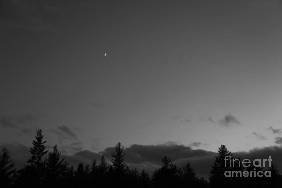 The Woods and the Moon 3 Black and White Photograph by Marina McLain