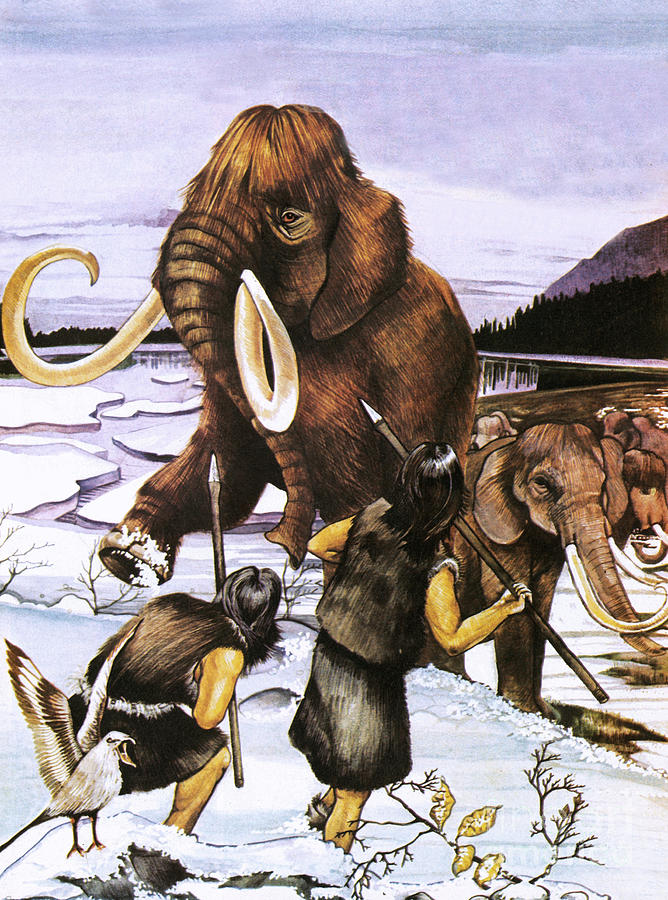 Prehistoric Painting - The Woolly or Siberian Mammoth by Susan Neale