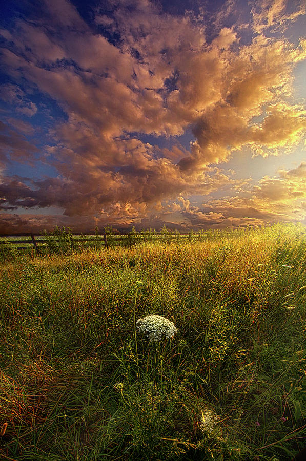 The Words Ill Never Find Photograph by Phil Koch