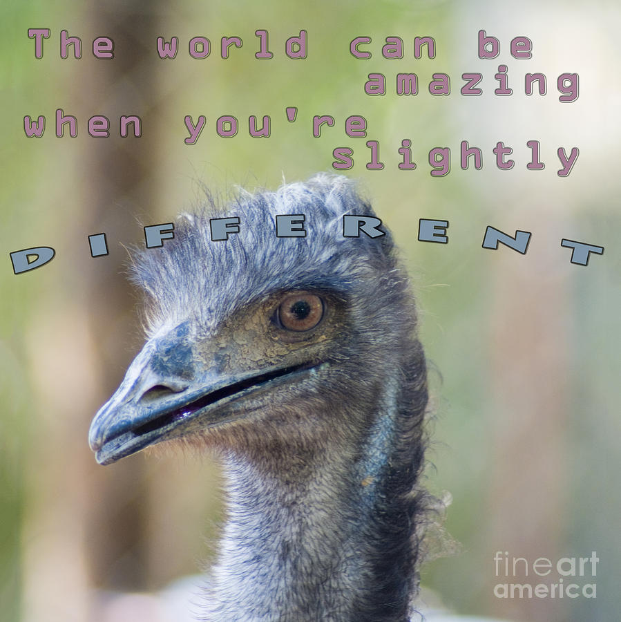 The world can be amazing when youre slightly different Photograph by Humorous Quotes