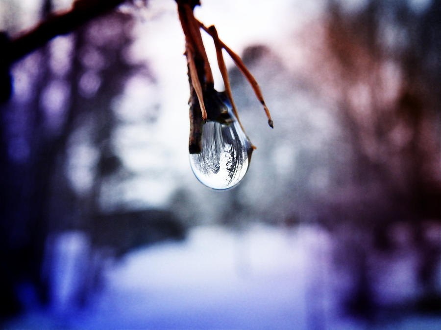 The World In A Drop Photograph by Zinvolle Art