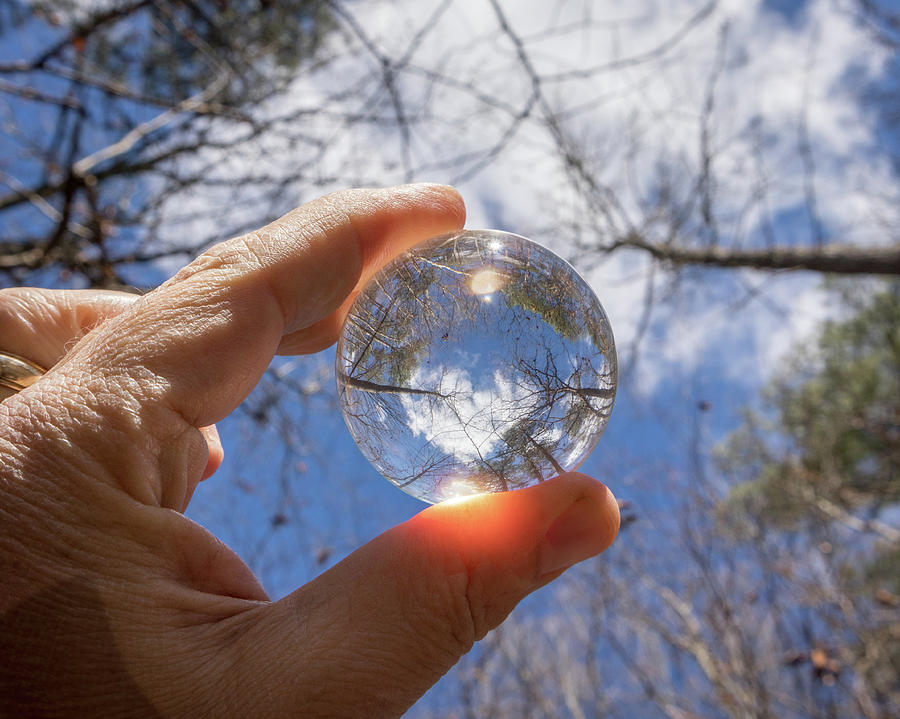 The World in My Hand Photograph by Wade Brooks