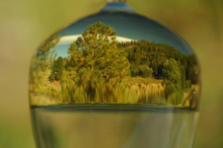 The World In Reflection Photograph by Donna Blackhall