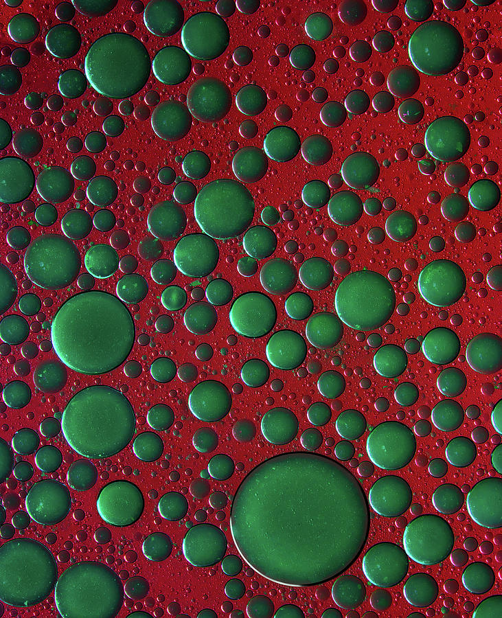 The world of bubbles - green and red Photograph by Jaroslaw Blaminsky