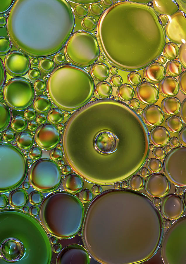 The world of bubbles Photograph by Jaroslaw Blaminsky