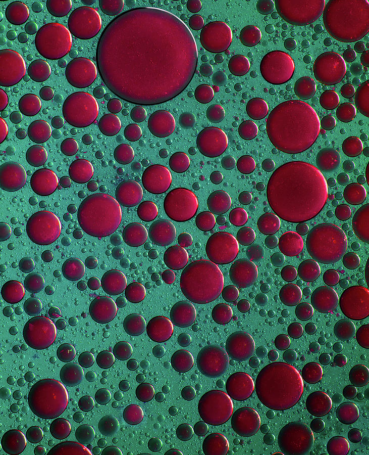 The world of bubbles - red and green Photograph by Jaroslaw Blaminsky