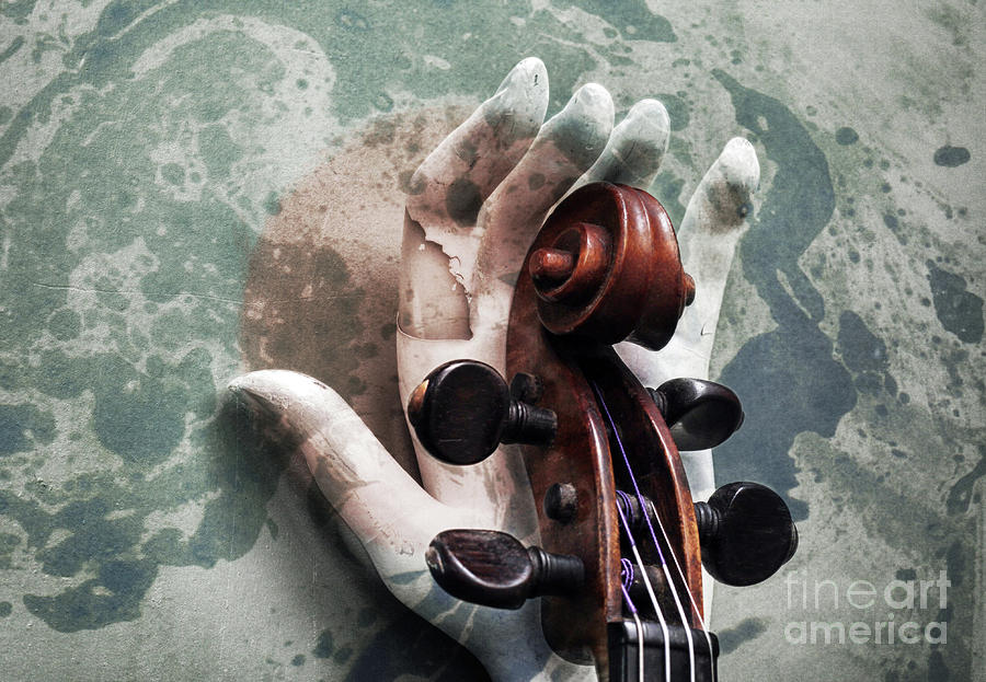 Violin Photograph - The World of Sound by Steven Digman Violin Photograph - The World of Sound by Steven Digman