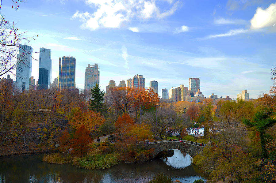 The worlds Central Park Photograph by Colin Perkins - Fine Art America